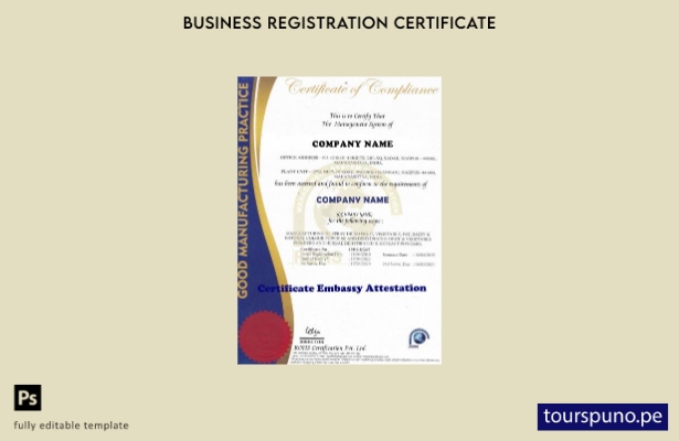 Plantilla de certificado de cumplimiento de India lista para imprimir